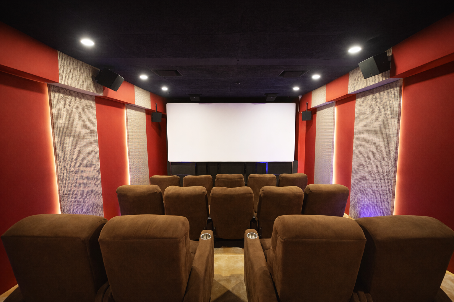 DiGiPiX Preview Theatre Interior